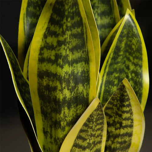 plantes artificielles sansevieria pour décoration extérieure moderne - vue 4 sur 6