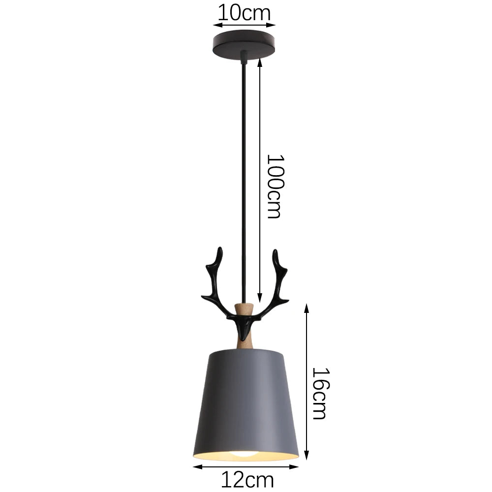 suspension industrielle loft style nordique en fer - vue 12 sur 20