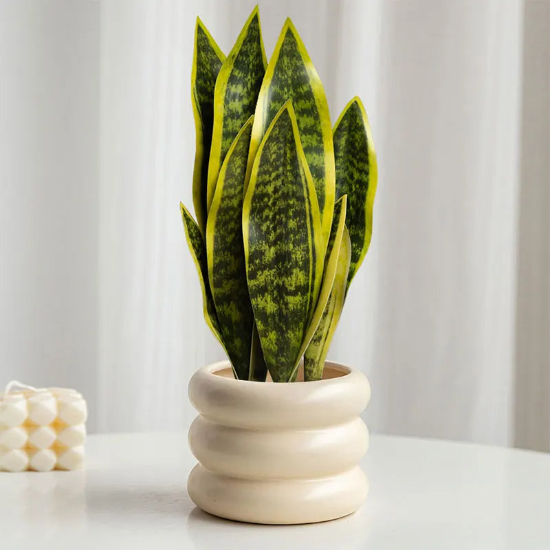 plantes artificielles sansevieria pour décoration extérieure moderne - vue 2 sur 6