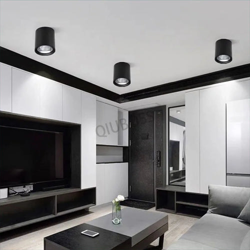 qiuboss spot led cylindre à intensité variable pour éclairage de plafond - vue 6 sur 6