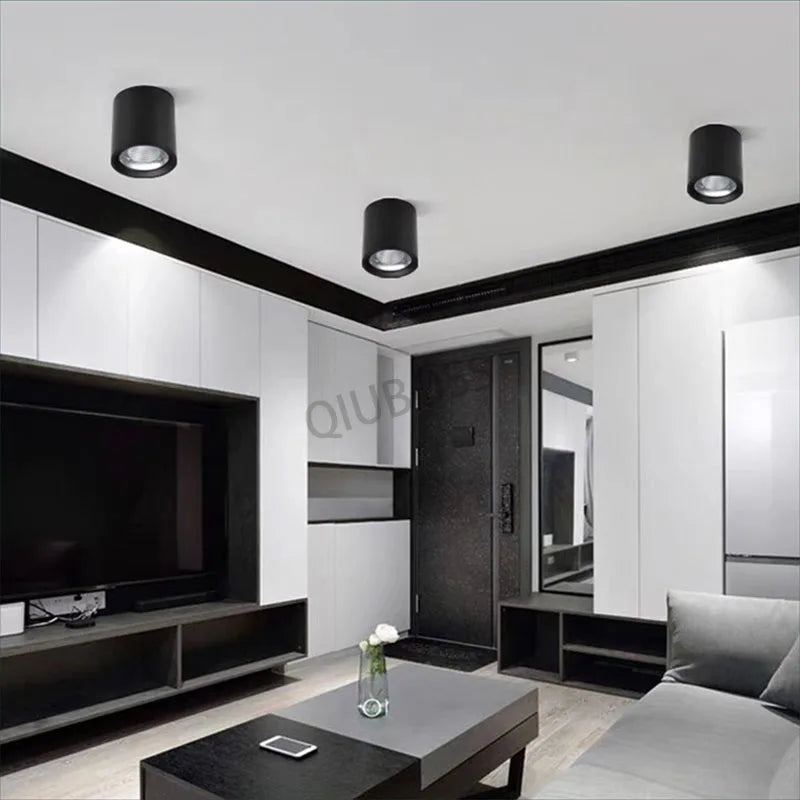 qiuboss spot led cylindre à intensité variable pour éclairage de plafond - vue 6 sur 6