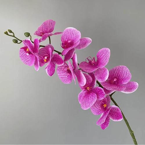 orchidée phalaenopsis préservée fleurs artificielles pour décoration mariage - vue 10 sur 17