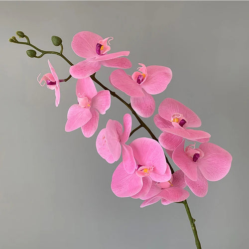 orchidée phalaenopsis préservée fleurs artificielles pour décoration mariage - vue 13 sur 17