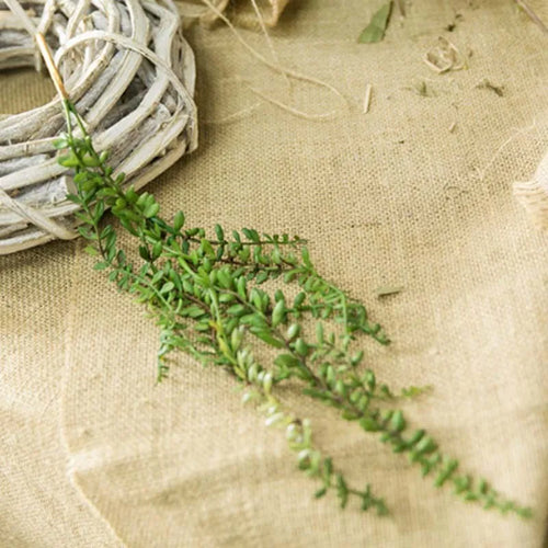 plantes succulentes artificielles pour décoration murale en rotin - vue 5 sur 7