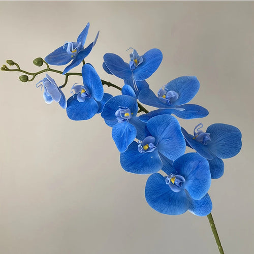 orchidée phalaenopsis préservée fleurs artificielles pour décoration mariage - vue 12 sur 17