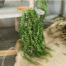 plantes succulentes artificielles pour décoration murale en rotin