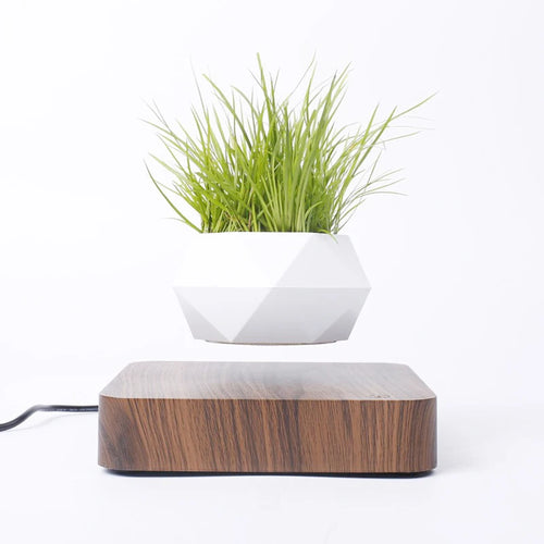 pot de bonsaï à lévitation magnétique pour décoration spéciale - vue 4 sur 10