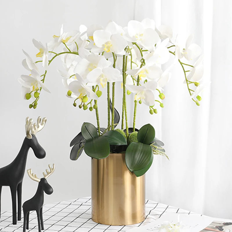 orchidée phalaenopsis préservée fleurs artificielles pour décoration mariage - vue 1 sur 17