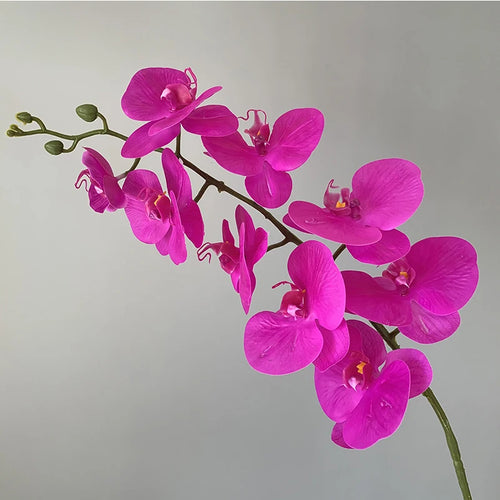 orchidée phalaenopsis préservée fleurs artificielles pour décoration mariage - vue 15 sur 17