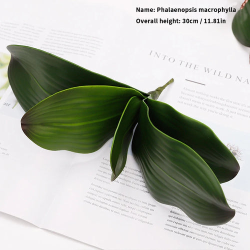 orchidée phalaenopsis préservée fleurs artificielles pour décoration mariage - vue 16 sur 17