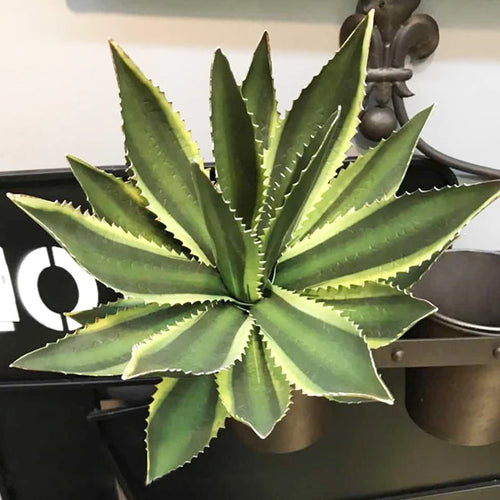 plantes succulentes artificielles décoratives en plastique à épines de lotus - vue 10 sur 11