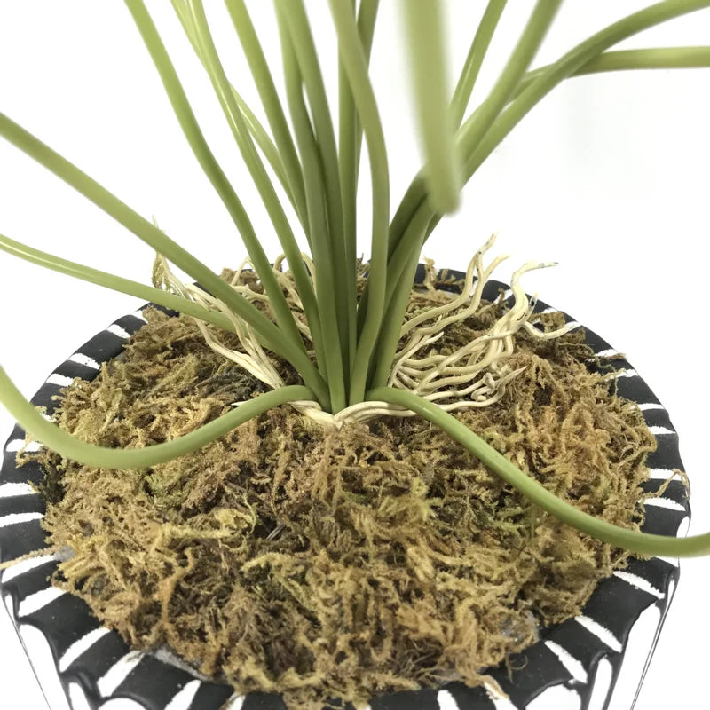 plantes de lotus artificielles décoratives pour intérieur et bureau - vue 7 sur 7
