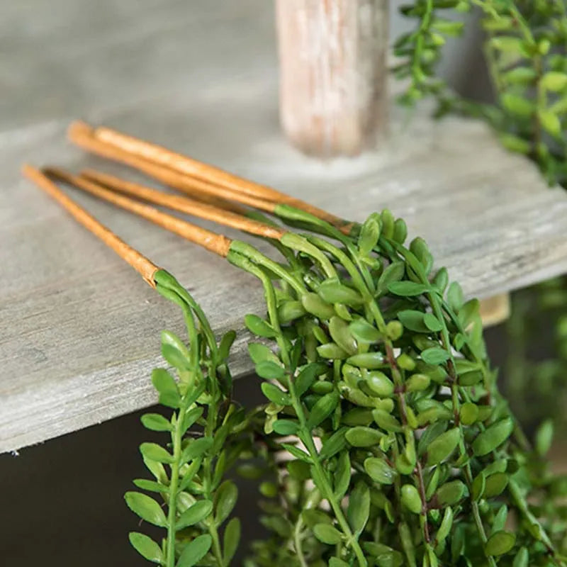 plantes succulentes artificielles pour décoration murale en rotin - vue 5 sur 7
