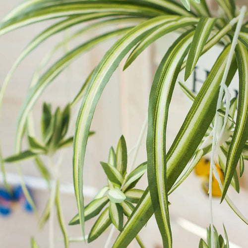 plantes artificielles suspendues à 5 fourches pour décoration intérieure - vue 4 sur 7