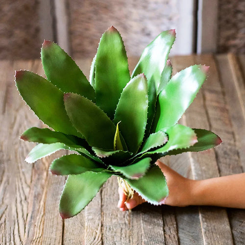 plantes succulentes artificielles toucher réel pour décoration intérieure - vue 3 sur 10
