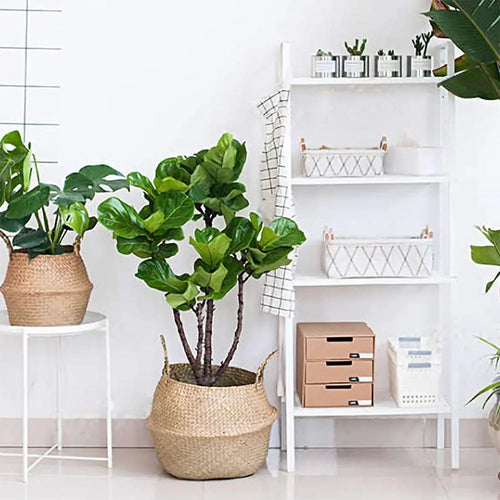 panier pliable en rotin pour rangement fleurs et accessoires - vue 3 sur 14