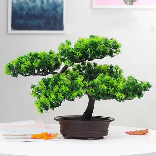 plante en pot décoratif style bonsaï pour maison ou bureau - vue 3 sur 5