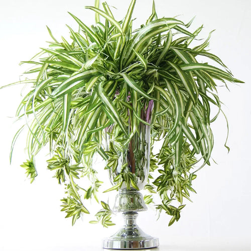 plantes artificielles suspendues à 5 fourches pour décoration intérieure - vue 3 sur 7