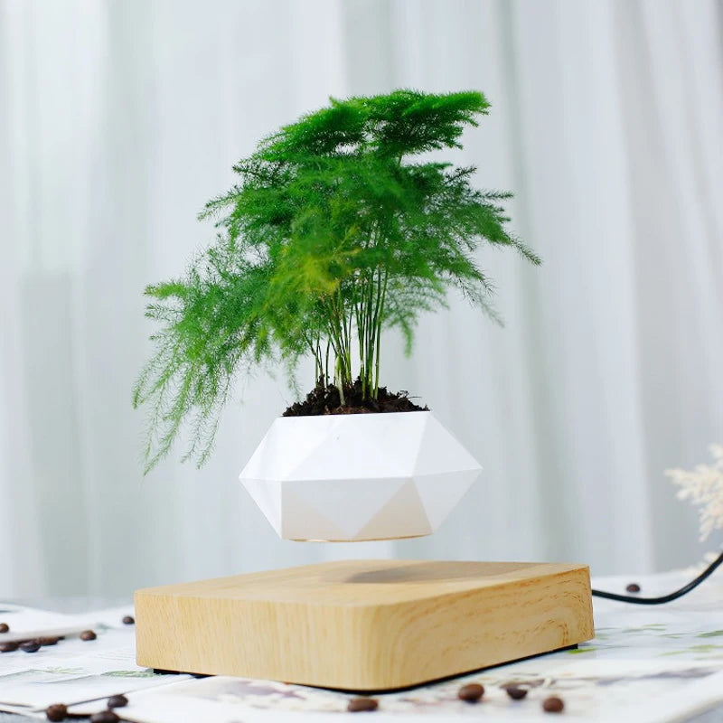pot de bonsaï à lévitation magnétique pour décoration spéciale - vue 6 sur 10