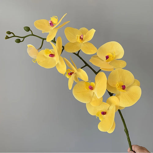 orchidée phalaenopsis préservée fleurs artificielles pour décoration mariage - vue 18 sur 17