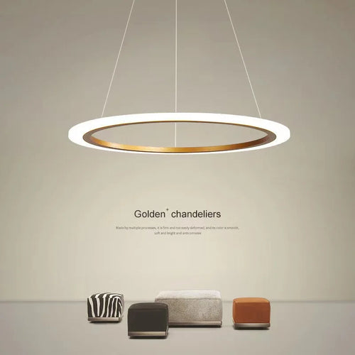 lustre circulaire moderne à anneau unique éclairage led - vue 2 sur 9