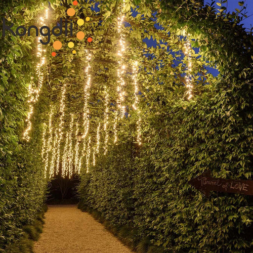 guirlande lumineuse led pour décoration de noël en extérieur - vue 3 sur 6
