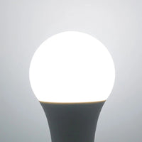 ampoule led smd2835 pour éclairage intérieur polyvalent