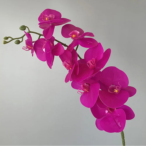 orchidée phalaenopsis préservée fleurs artificielles pour décoration mariage - vue 17 sur 17