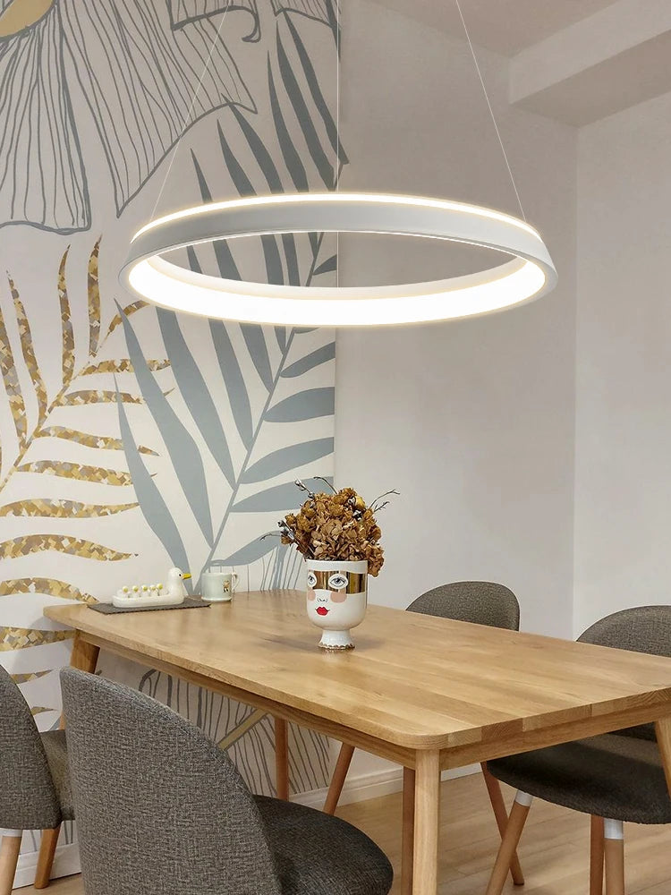 lustre minimaliste moderne pour restaurant et cuisine - vue 4 sur 7