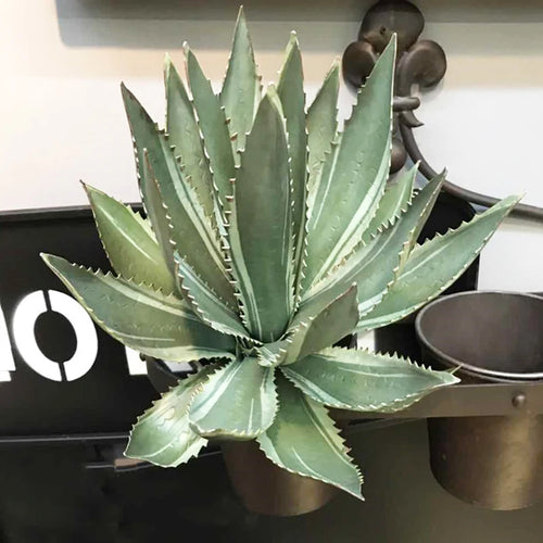 plantes succulentes artificielles décoratives en plastique à épines de lotus - vue 11 sur 11