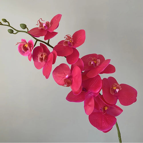 orchidée phalaenopsis préservée fleurs artificielles pour décoration mariage - vue 14 sur 17