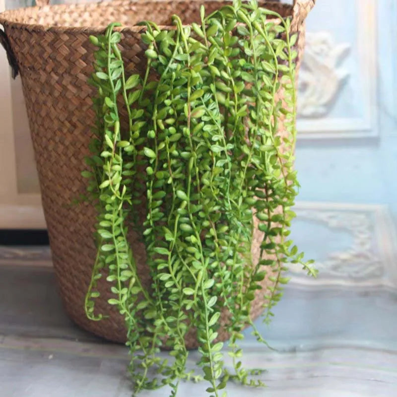 plantes succulentes artificielles pour décoration murale en rotin - vue 1 sur 7