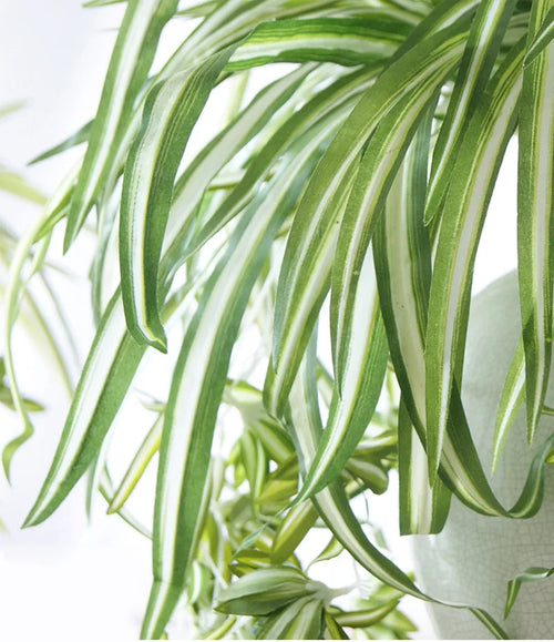 plantes artificielles suspendues à 5 fourches pour décoration intérieure - vue 5 sur 7