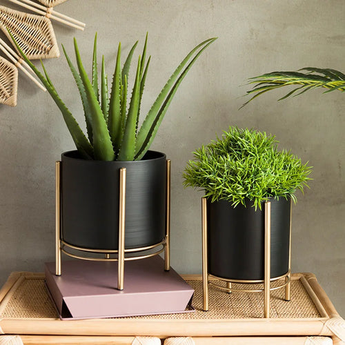 vase nordique créatif en fer forgé pour succulentes - vue 2 sur 6