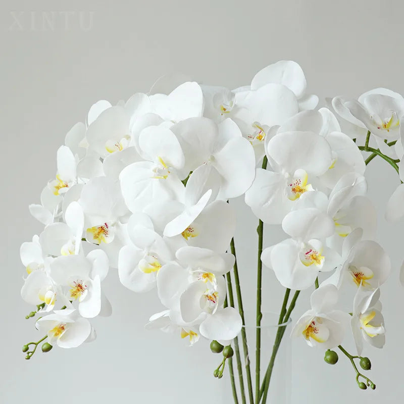 orchidée phalaenopsis préservée fleurs artificielles pour décoration mariage - vue 4 sur 17