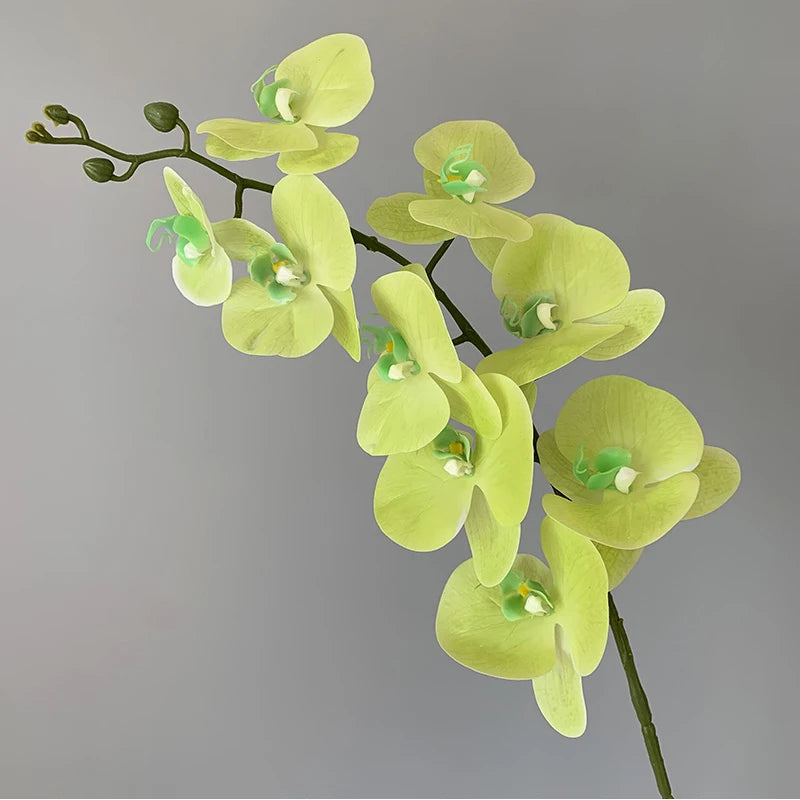 orchidée phalaenopsis préservée fleurs artificielles pour décoration mariage - vue 10 sur 17