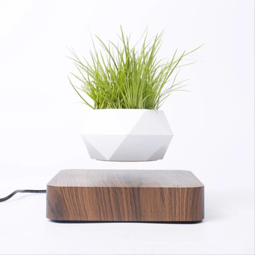 pot de bonsaï à lévitation magnétique pour décoration spéciale - vue 9 sur 10