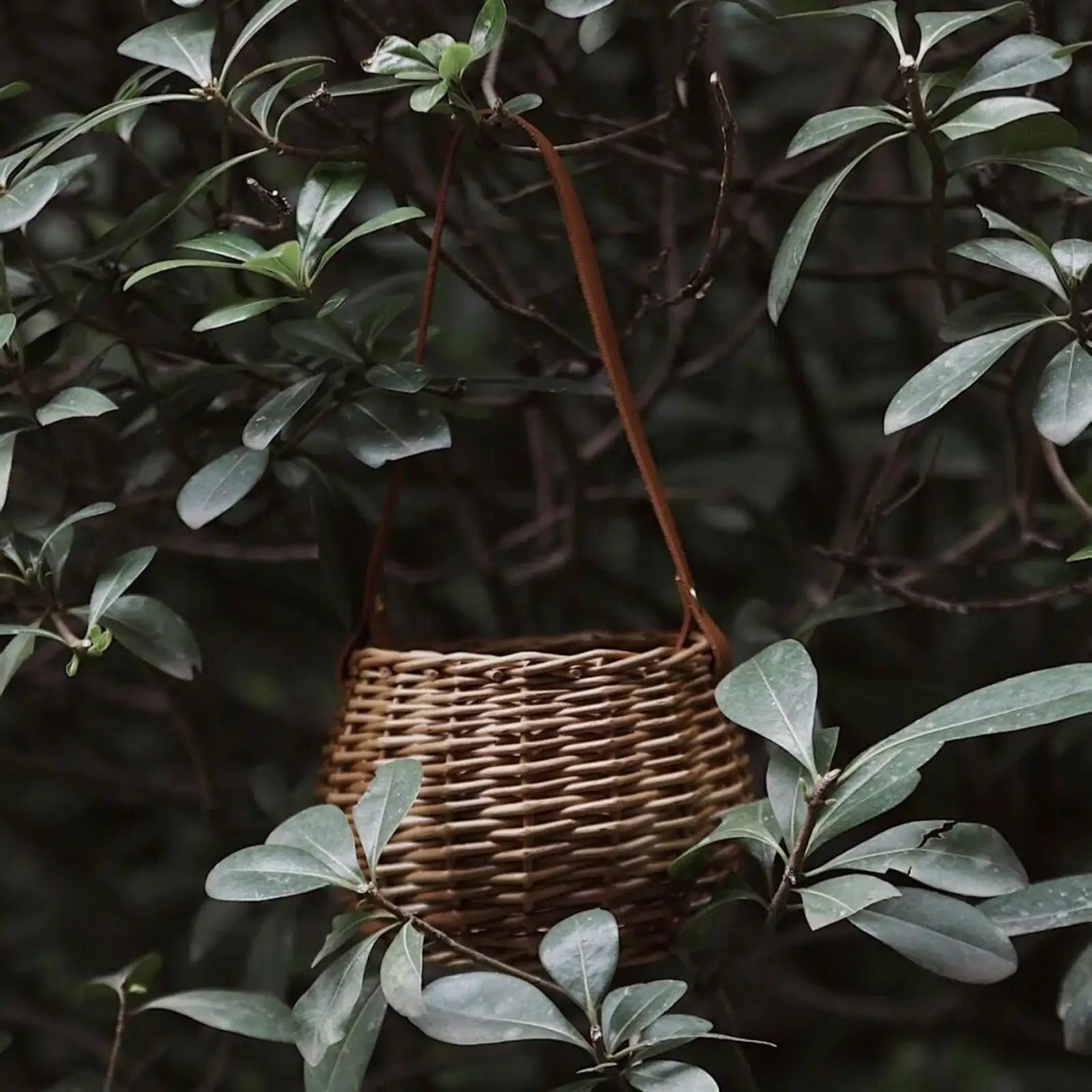 panier de rangement tissé pour plantes et fleurs - vue 7 sur 7
