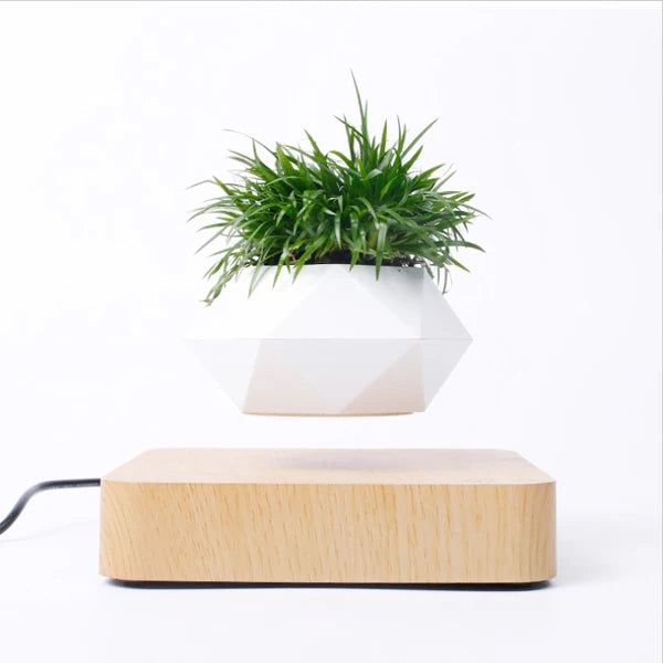 pot de bonsaï à lévitation magnétique pour décoration spéciale - vue 8 sur 10