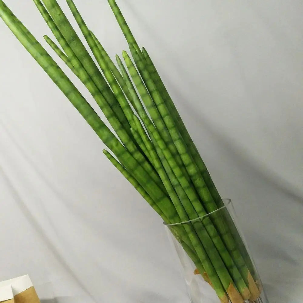 cactus artificiel cylindrique en plastique pour décoration intérieure et extérieure - vue 5 sur 9