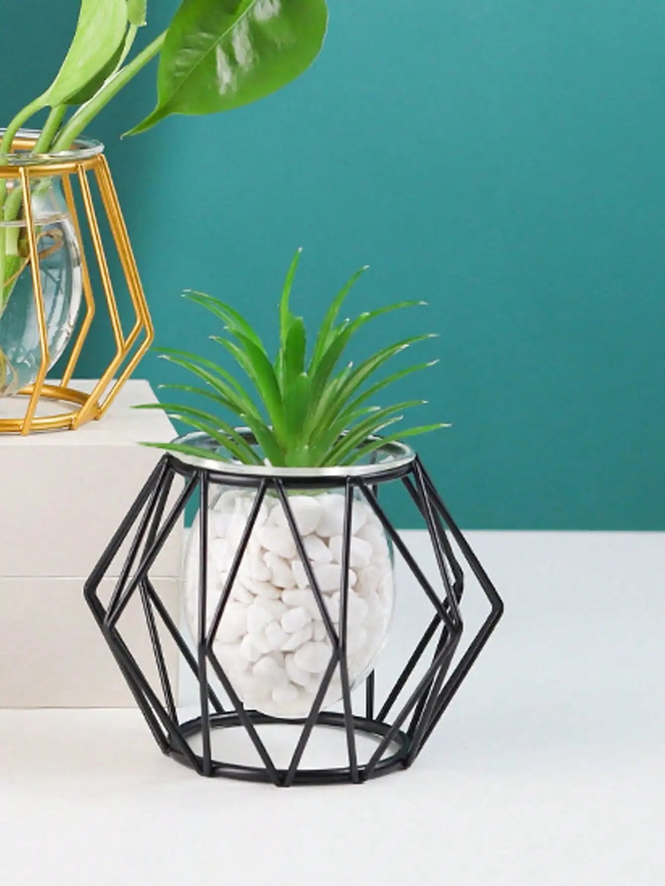 arrangement de fleurs transparent pour décoration intérieure avec plantes d'eau - vue 3 sur 6