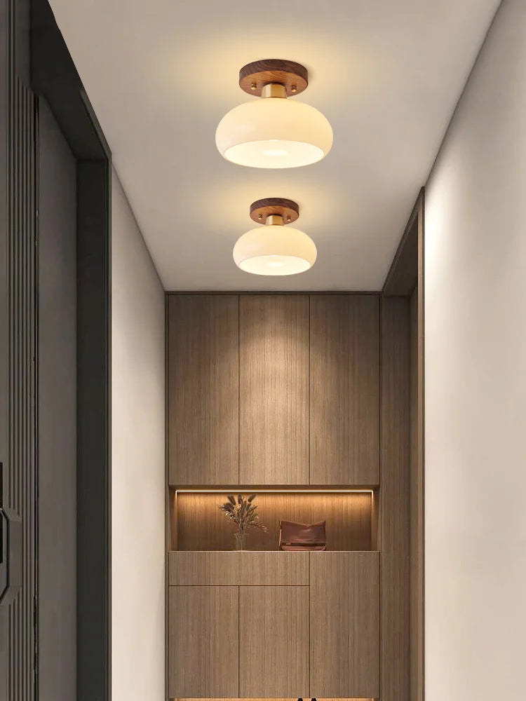 Grass Led Ceiling Lamp for Hallway, Entryway, Kitchen, Foyer Living Room Indoor Lighting white lamps home Decor Lustres fixture - vue 4 sur 7