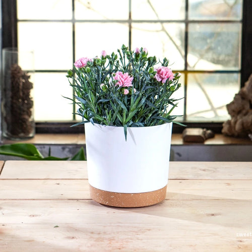 grand pot circulaire en plastique pour plantes d'intérieur avec drainage et plateau - vue 4 sur 15
