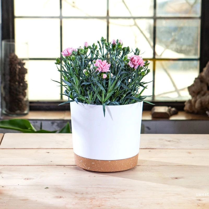 grand pot circulaire en plastique pour plantes d'intérieur avec drainage et plateau - vue 3 sur 15