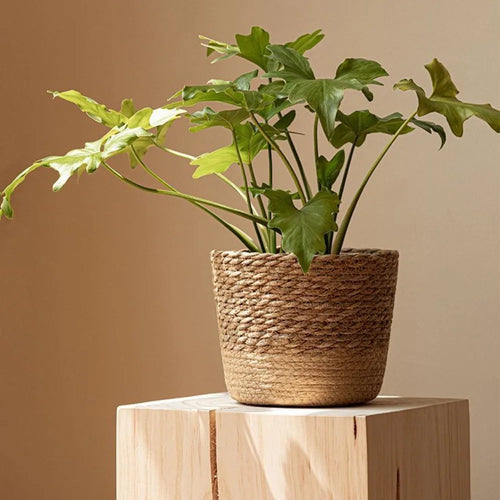 panier en osier tressé pour fleurs et rangement - vue 3 sur 9