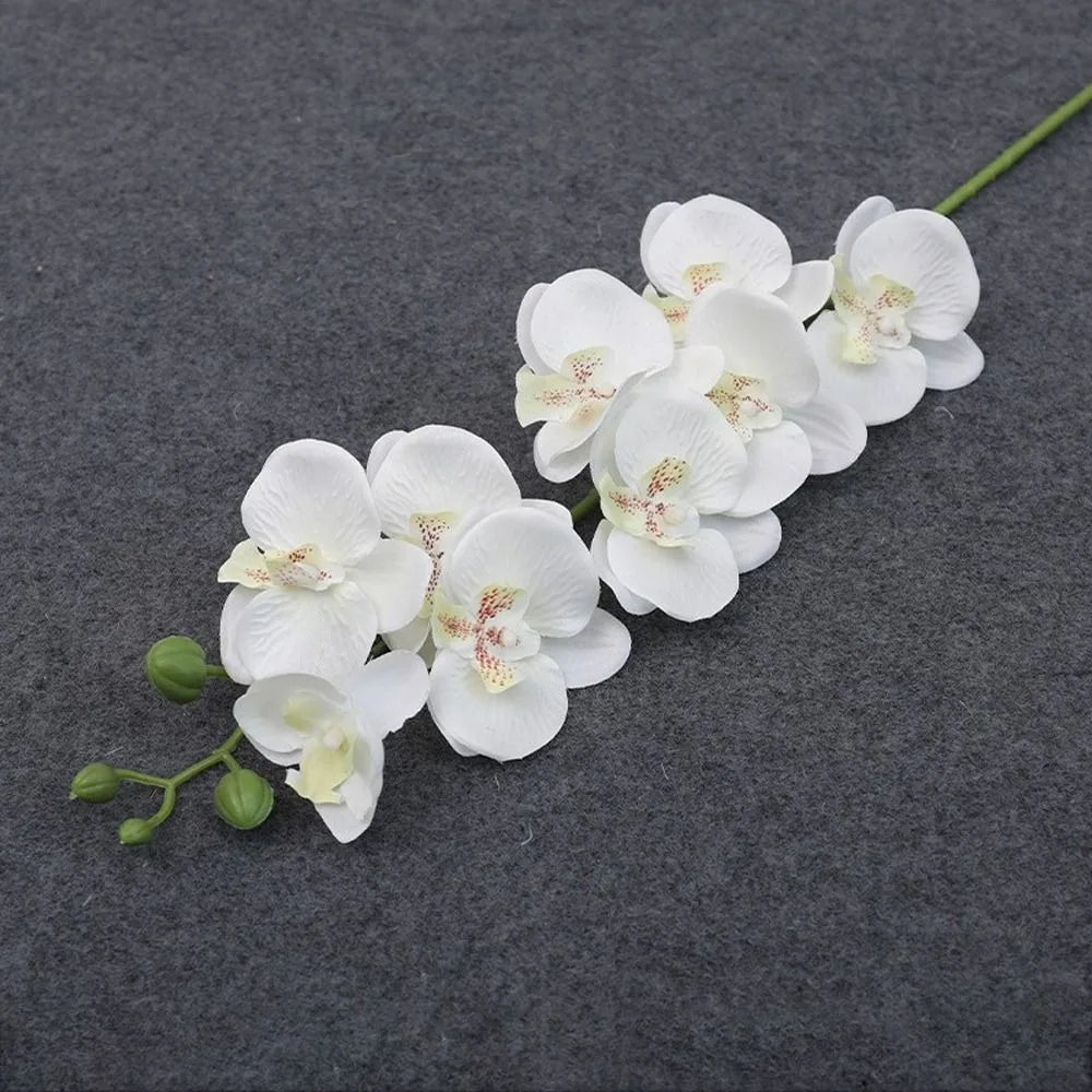 plantes artificielles phalaenopsis 3d toucher réaliste orchidée décorative