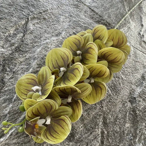 phalaenopsis artificiel orchidée décorative pour mariage et jardin - vue 22 sur 23
