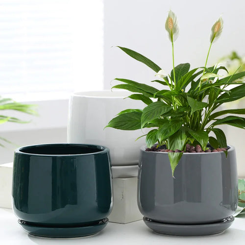pot de fleurs en céramique créatif pour décoration intérieure et extérieure - vue 2 sur 9
