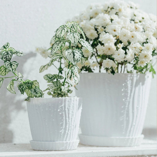pot de fleurs haut simple à ondulations en plastique multicolore - vue 8 sur 8
