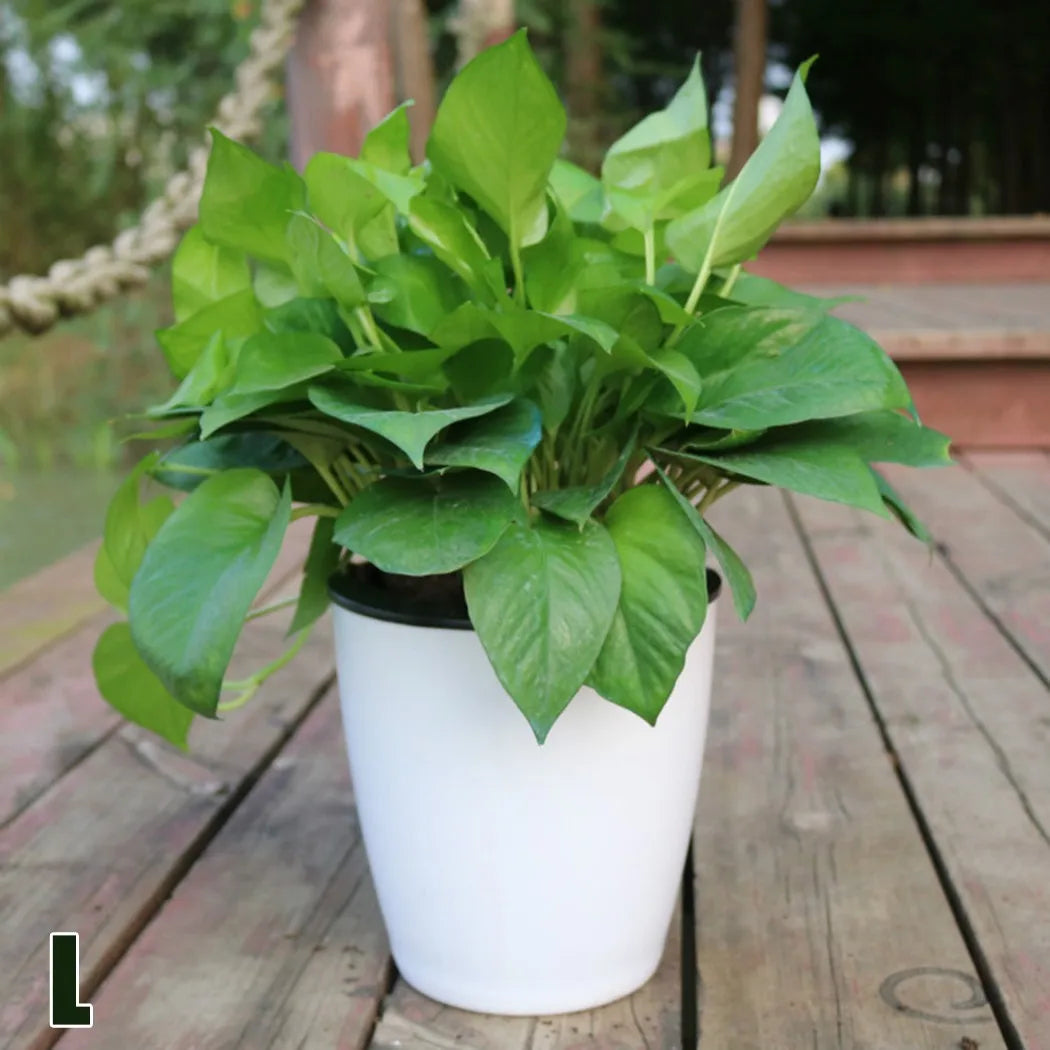 pot de fleurs automatique en plastique effet porcelaine - vue 10 sur 12